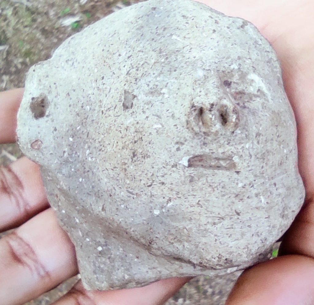 Achado arqueológico encontrado em São Gabriel da Cachoeira